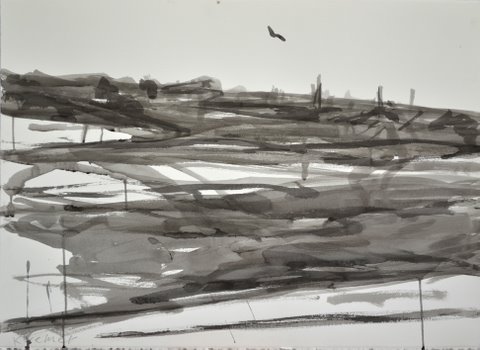 Landscape 2012, ink on paper, 65X67 cm