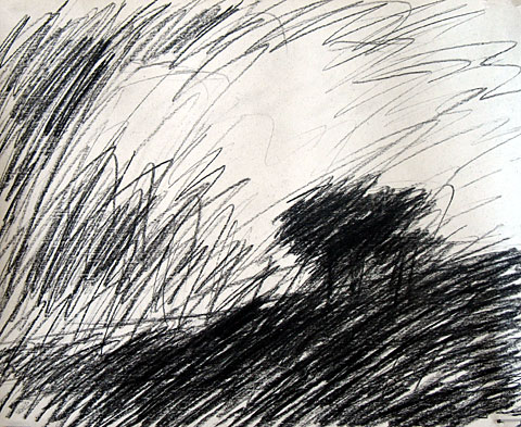 Tree after Rembrandt, 2006, charcoal on paper, 24&amp;#215;29 cm