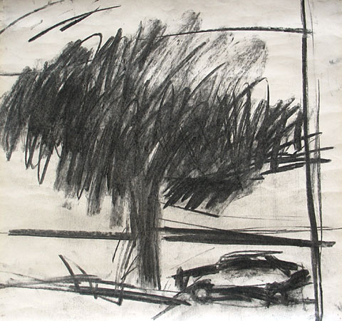 Tree and Car I, 2006, charcoal on paper, 44&amp;#215;47 cm